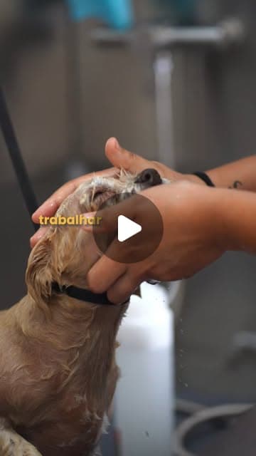Vídeo do Instagram: Mãos ao trabalho